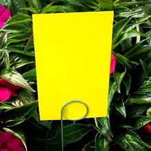 Load image into Gallery viewer, (100 Pack) Yellow Fly Sticky Traps Dual-Sided for White Flies, Aphids, Fungus Gnats & Leaf Miners
