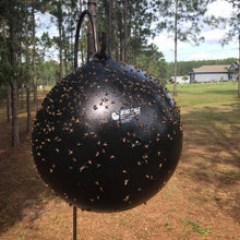 Load image into Gallery viewer, Bug Ball Starter Kit