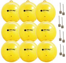 Load image into Gallery viewer, Gnat Ball - 3 Pack Replacement
