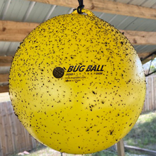 Load image into Gallery viewer, Gnat Ball - 3 Pack Replacement