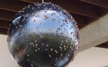 Load image into Gallery viewer, Bug Ball Starter Kit