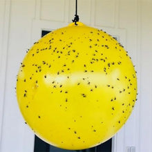 Load image into Gallery viewer, Gnat Ball - 3 Pack Replacement