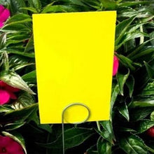 Load image into Gallery viewer, Bug Ball (100 Pack) 12in Wire Holder for Sticky Traps and Apple Maggot Trap