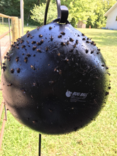Load image into Gallery viewer, Bug Ball Starter Kit