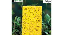 Load image into Gallery viewer, (100 Pack) Yellow Fly Sticky Traps Dual-Sided for White Flies, Aphids, Fungus Gnats & Leaf Miners