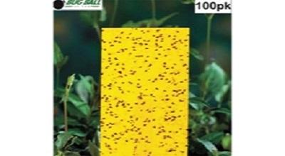 (100 Pack) Yellow Fly Sticky Traps Dual-Sided for White Flies, Aphids, Fungus Gnats & Leaf Miners