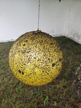 Load image into Gallery viewer, Gnat Ball Starter Kit