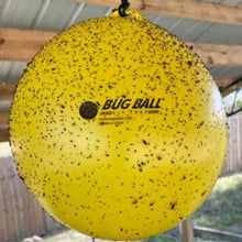 Load image into Gallery viewer, Gnat Ball Complete Kit
